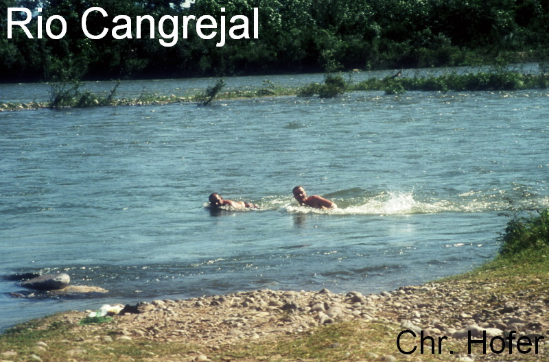 Bild - Rio Cangrejal